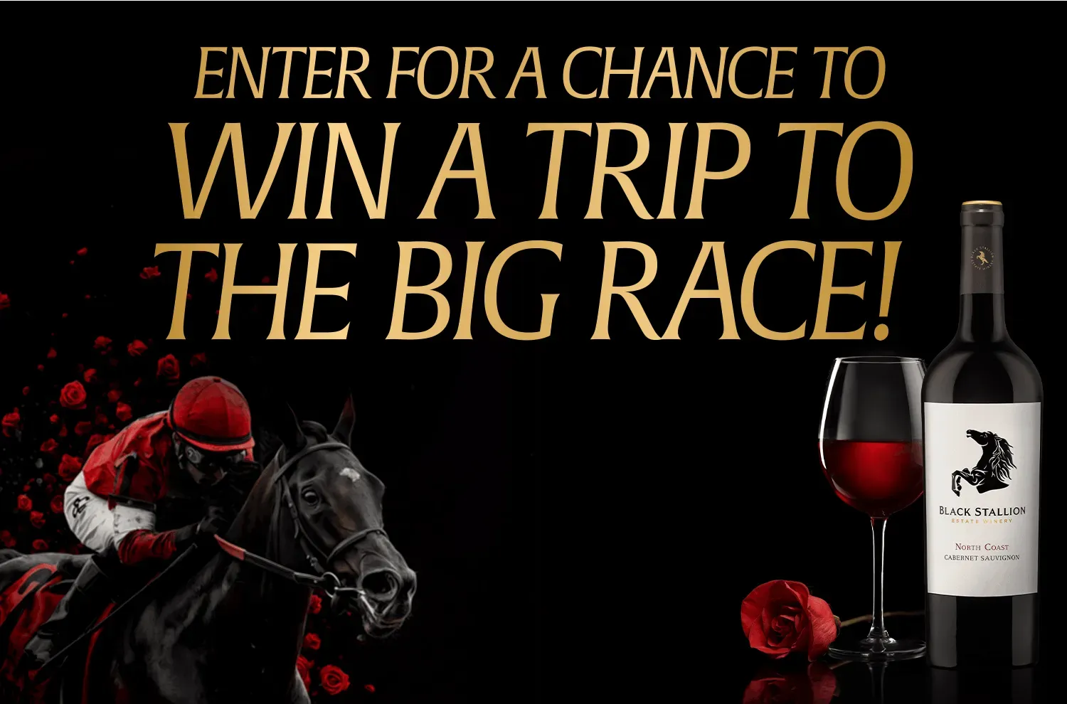 Black Stallion – Off To The Races National Sweepstakes