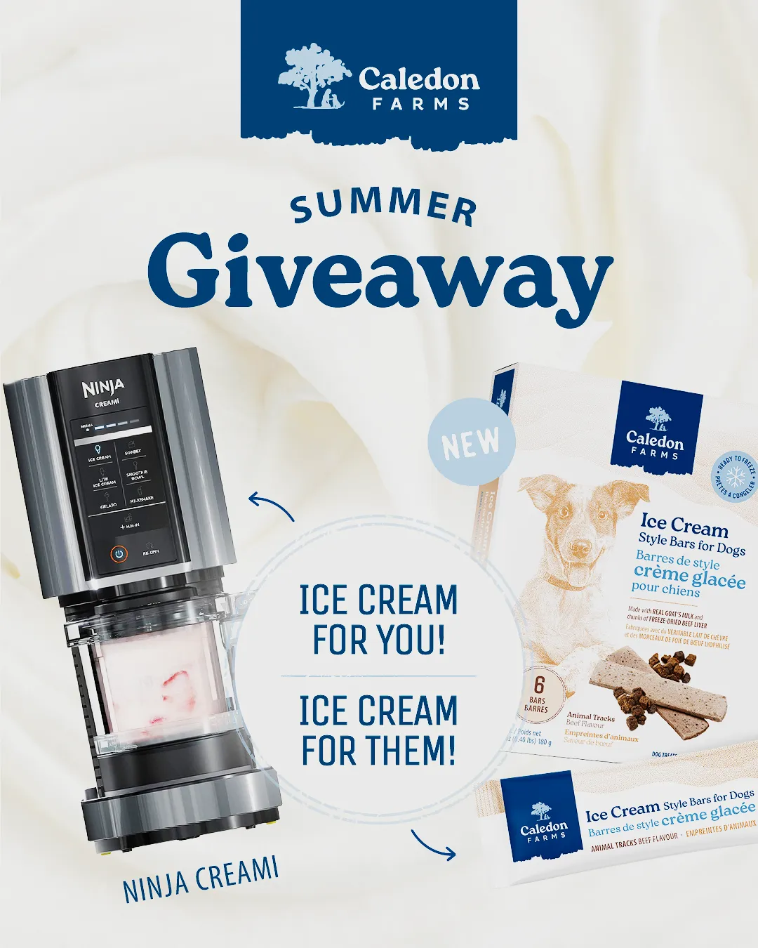 Summer Giveaway