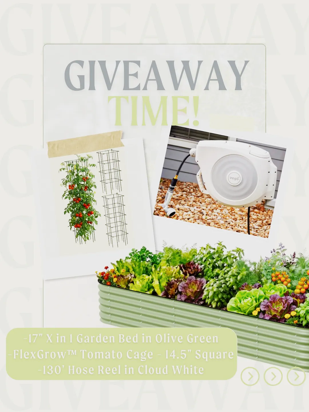Vego Day Giveaway