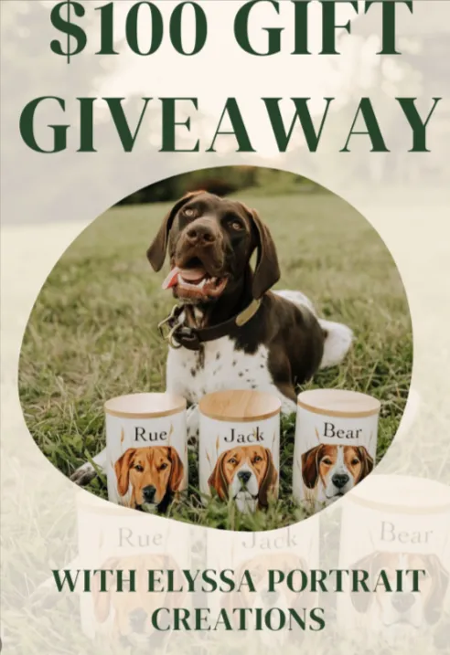 PET PORTRAIT GIVEAWAY!