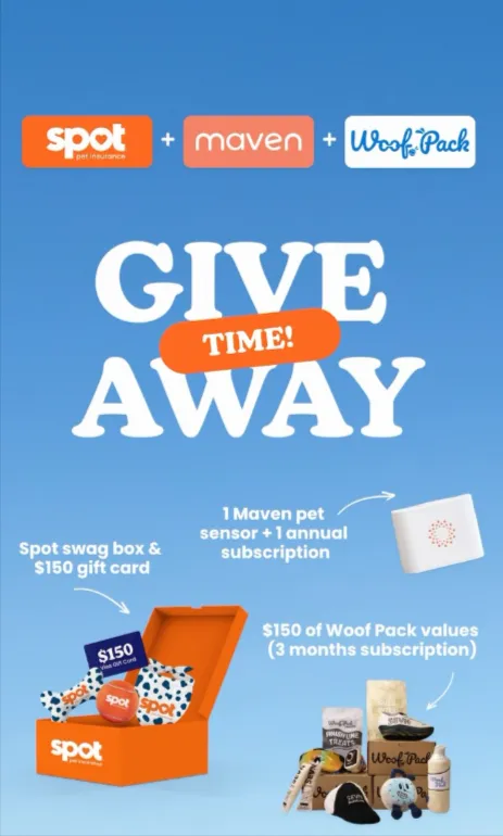 Visa Gift Card Giveaway