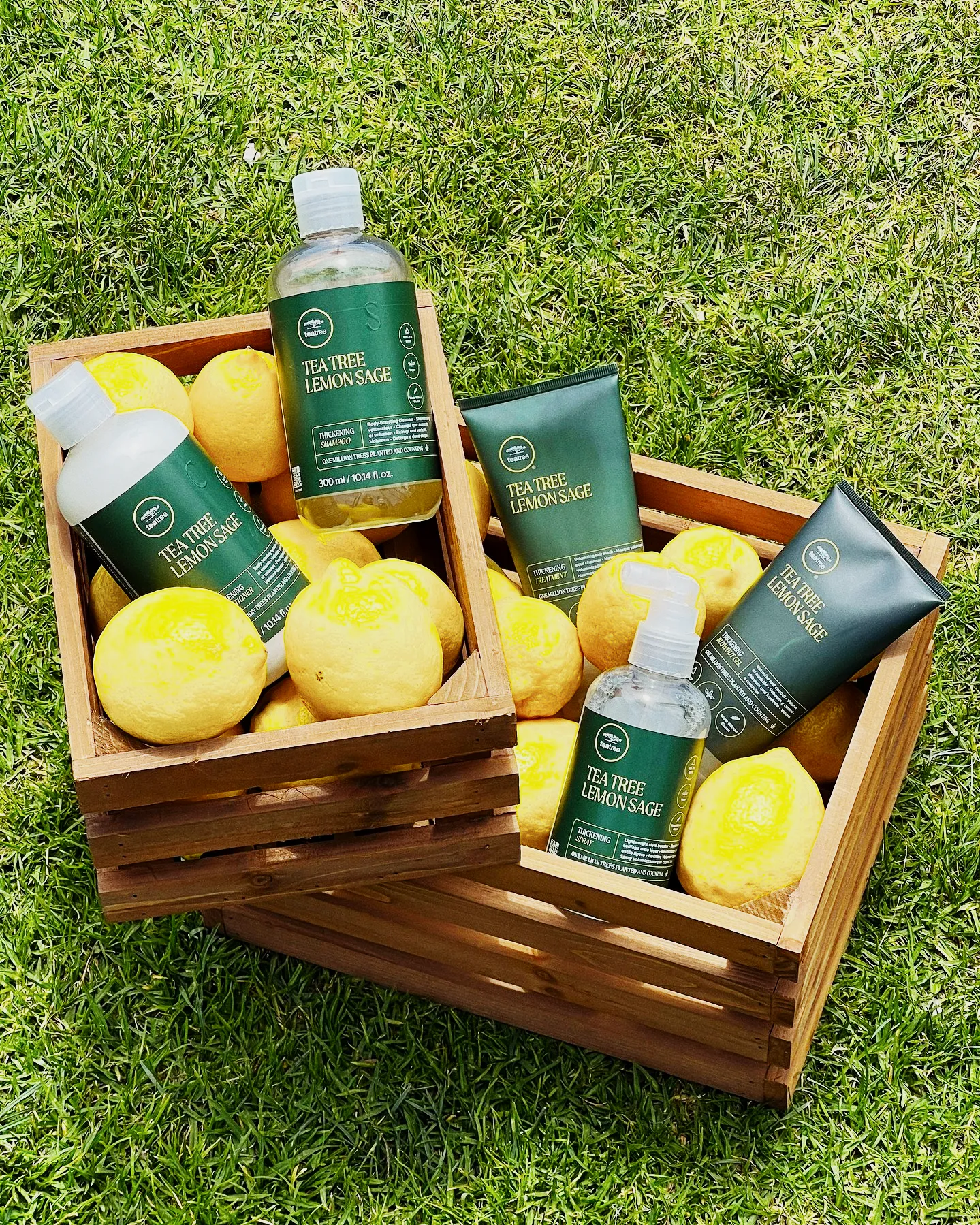 Tea Tree Lemon Sage Collection Giveaway