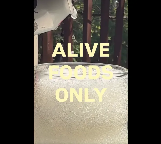 GIVEAWAY: ALIVE FOODS ONLY