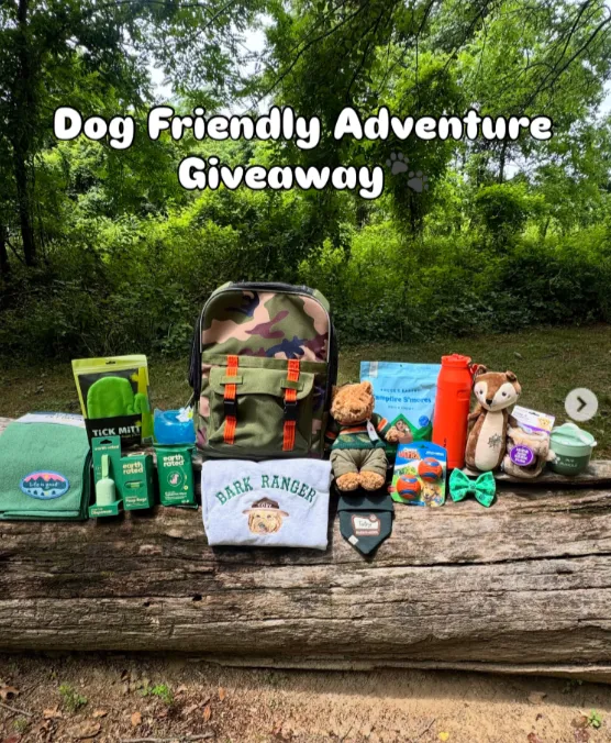 Dog Friendly Adventure Giveaway