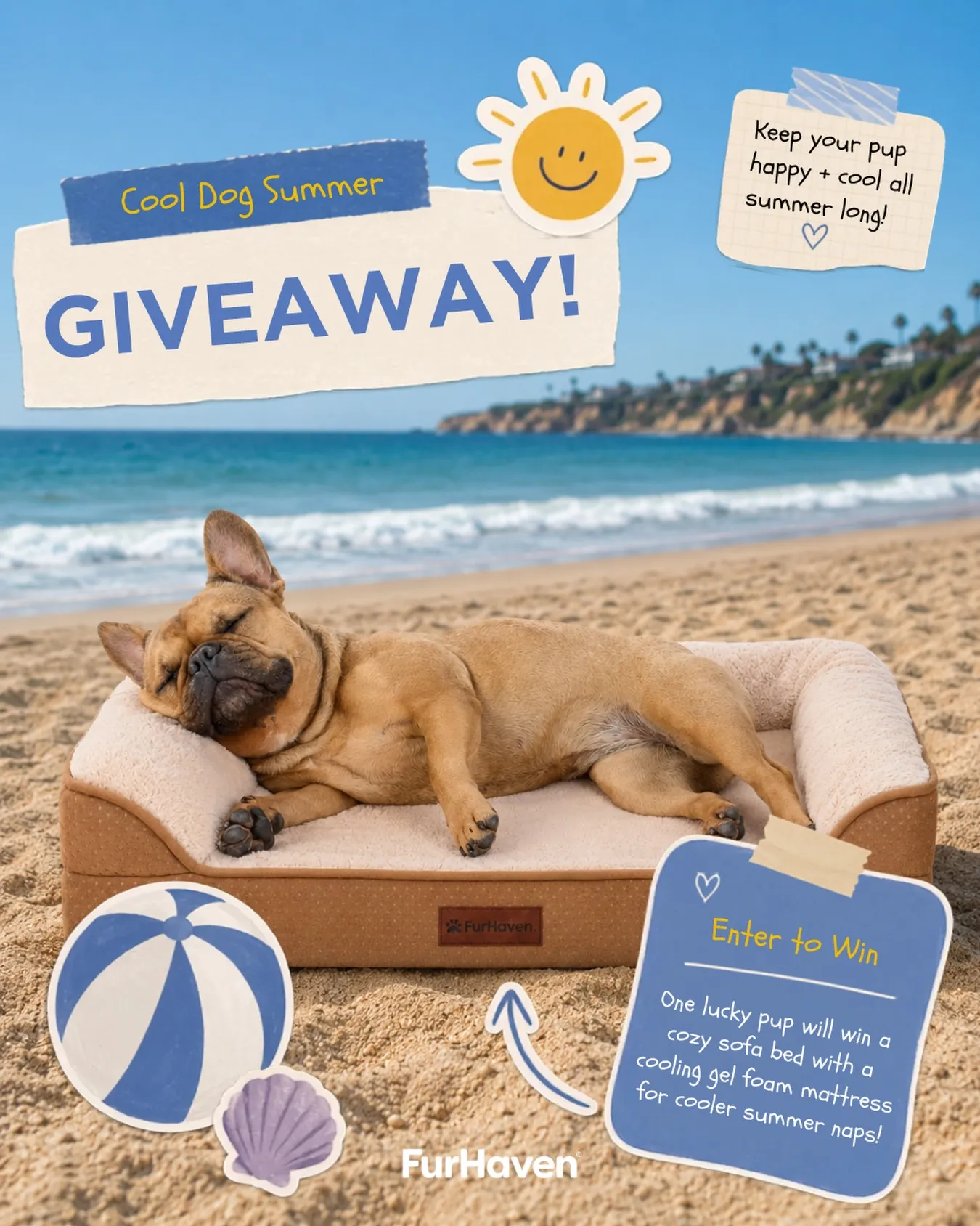 Cool Dog Summer
