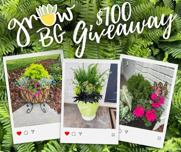 Gift Card Giveaway