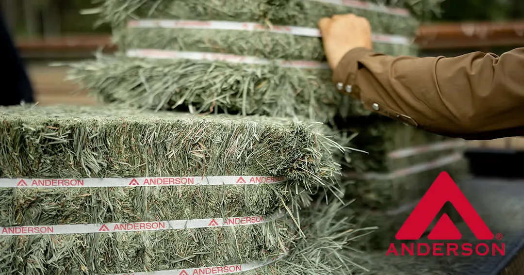 The Great Hay Giveaweay