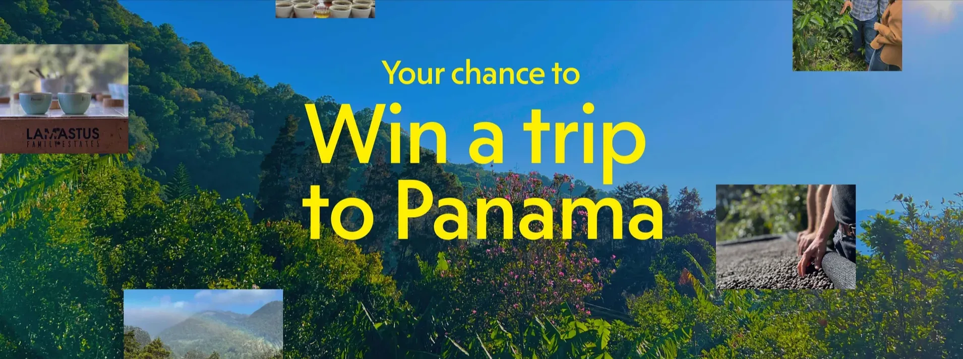 Trip Giveaway