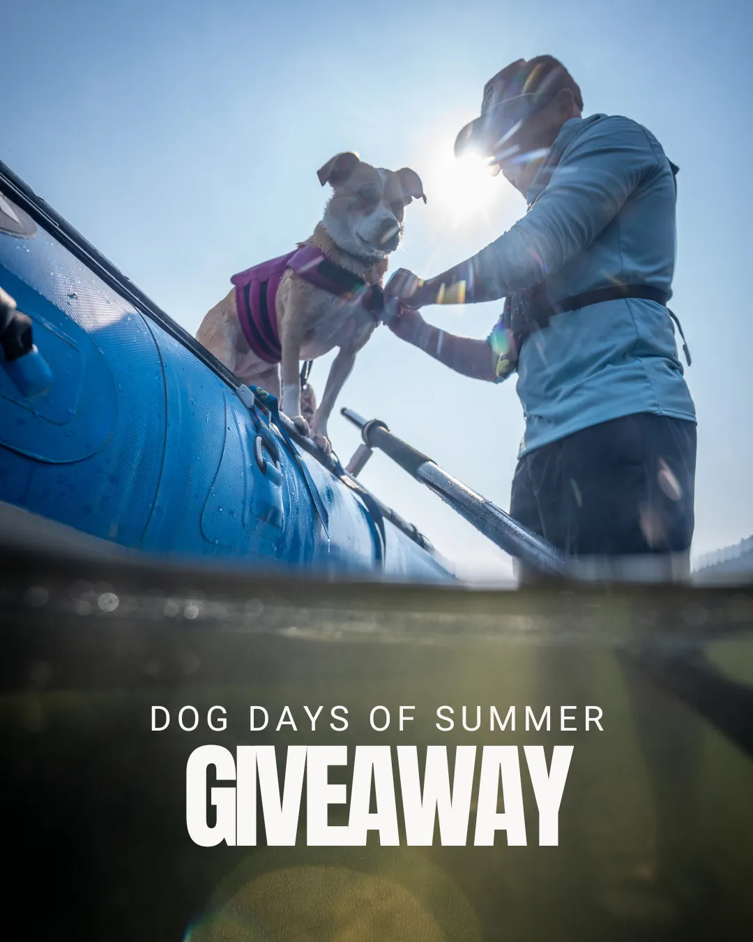 Dog Days of Summer Giveaway