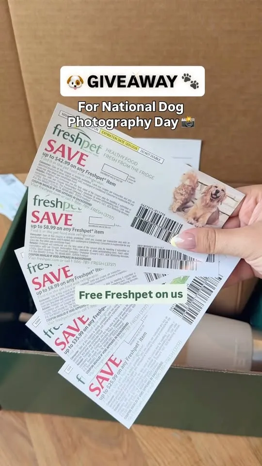 National Dog Photography Day Giveaway