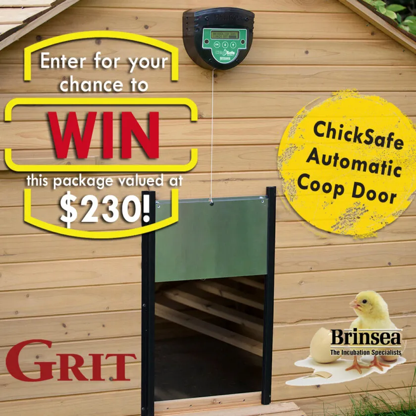 Brinsea Chicksafe Coop Door Giveaway