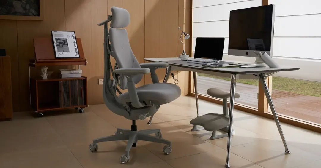 LiberNovo Omni Ergonomic Chair Giveaway