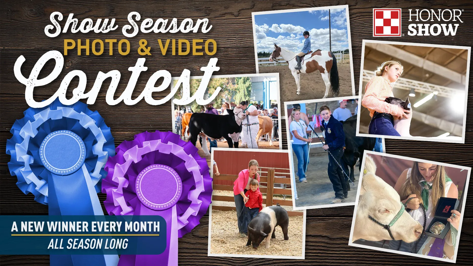 SHOW SEASON PHOTO & VIDEO CONTEST