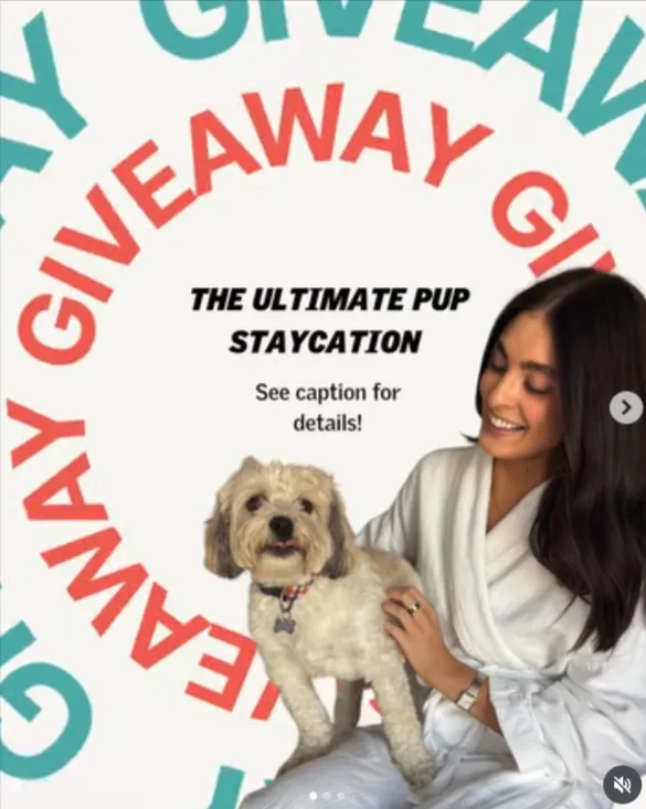 Paws & Partners Giveaway