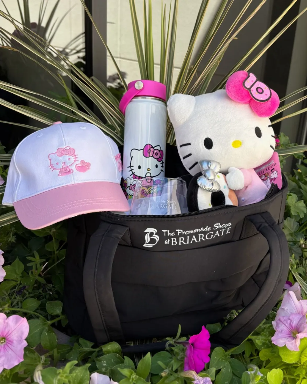 Goodies Giveaway