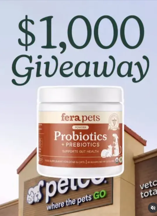 Gift Card Giveaway
