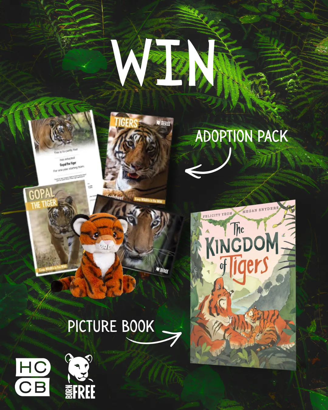 Win A Kingdom Of Tigers Adoption Bundle Giveaway