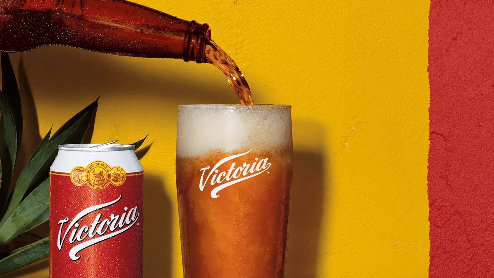 Victoria Beer Carín’s Cobija Jacket Giveaway