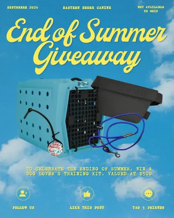 END OF SUMMER GIVEAWAY