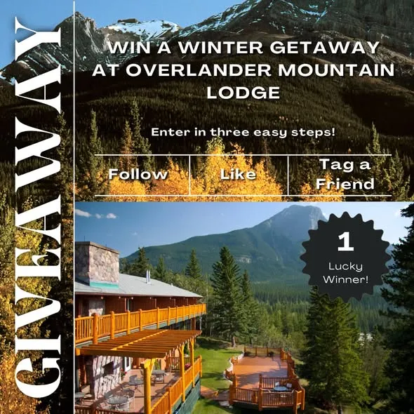 Gift Certificate Giveaway