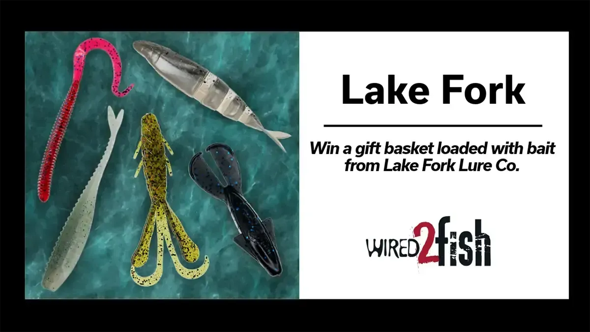 Win a Bait Gift Basket from Lake Fork Giveaways