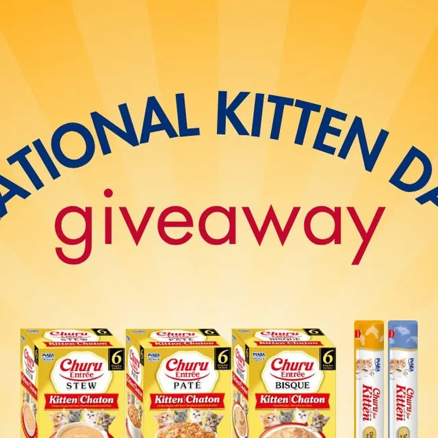 National Kitten Day Giveaway
